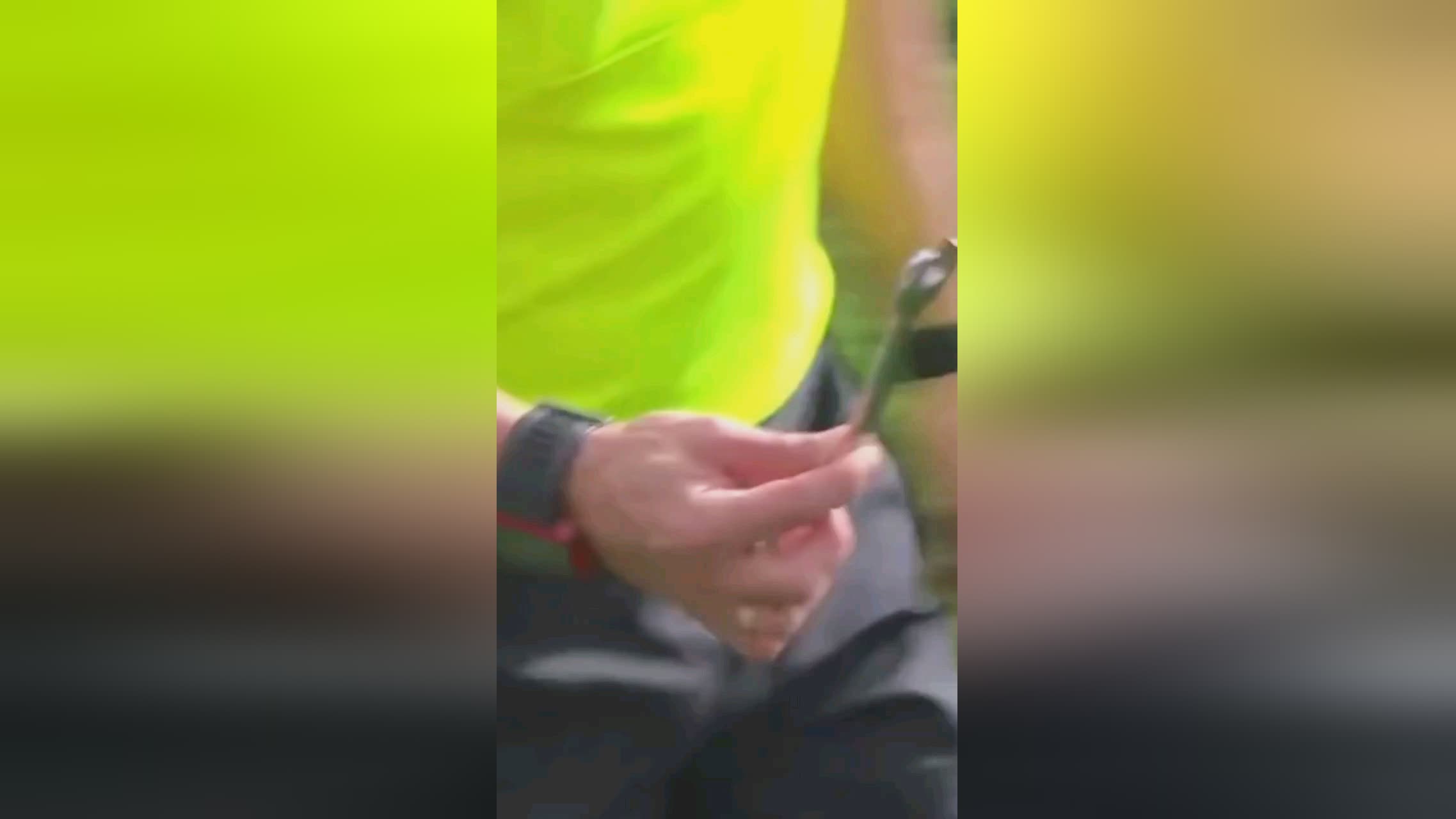 众一种全
